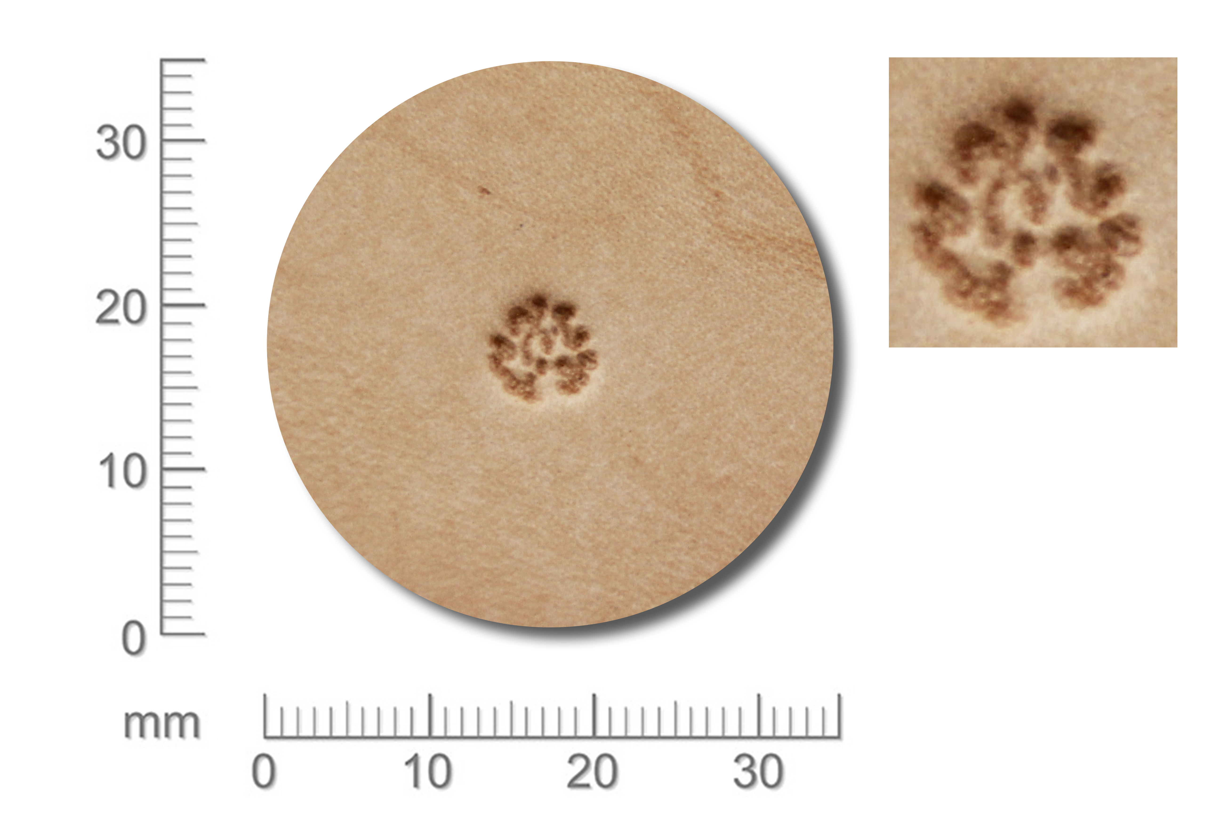 IV-66294-01 Punziereisen / Prägewerkzeug / Lederstempel E294-01 ( B-04 )