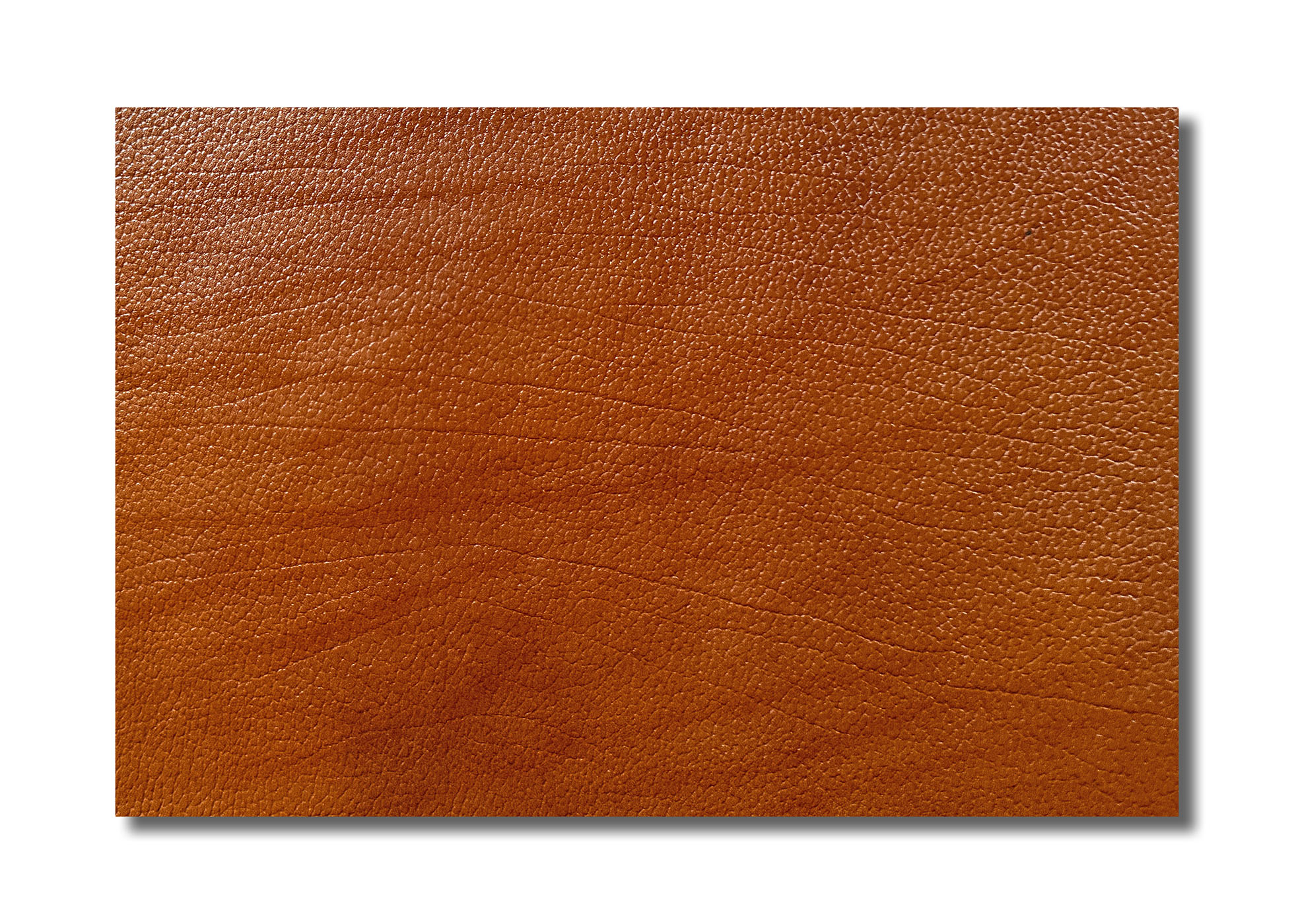 Leder - Rinderhälfte - Semi-Anilin, cognac (1,6 mm) 0,50 m²